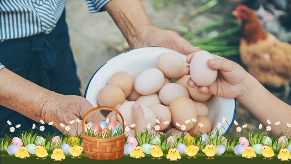 Jajka na Wielkanoc i jajka na co dzień